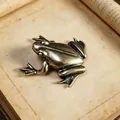 Detailed close-up of a solid brass Zen frog figurine with vintage bronze texture - Smooth Back Pointed Frog