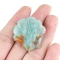 Sculpture de coquillage en pierre amazonite verte avec veines naturelles marron - Amazonite