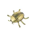 Detailed view of the antique brass finish on a vintage beetle insect ornament - Little Beetle