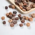 Dried pumpkin-shaped botanical seeds for DIY aromatherapy and home decor - Mini Pumpkins