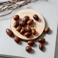 Natural dried decorative acorns in brown for handicraft and rustic home decor - Acorn Seeds