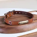 Brown leather pet collar with sparkling red rhinestones and golden metal buckle - Red Gemstone Gold Tag Collar