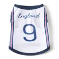 Close-up of breathable mesh pet vest featuring England 9 print and striped trim - Blue England No. 9