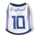 Breathable mesh England soccer jersey for dogs featuring blue trim and number 10 - Blue England No. 10