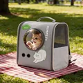 Large grey pet carrier backpack with breathable mesh and clear window for cats - Large / Backpack Style / Gray