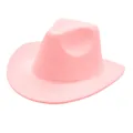 Klassieke lichtroze western cowboy vilten hoed met brede rand en kroonvorm - Volwassene / Roze