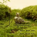 Macro detail of antique brass bird figurine with realistic feather texture on moss - Sparrow C