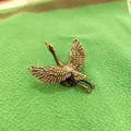 Detailed macro of solid brass crane figurine with vintage texture and wings spread - Spreading Wing Crane