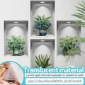 3D Wandaufkleber mit grünen Topfpflanzen und Regaleffekt transluzente Wanddekoration - Groß / Bogenhanf