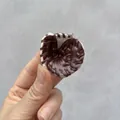 3.8cm coffee color (single) gloves