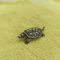 Close-up of solid brass turtle figurine featuring realistic shell texture and vintage finish - Thorny Turtle