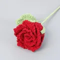 Handmade red crochet rose flower bouquet with detailed green stem for home decor - Xue Wu Roselle Rose - Wine Red