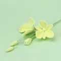 Handmade crochet light green rose bouquet with blooming flowers and buds for home decor - Mao Si Dendrobium - Green