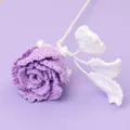 Handmade crochet rose bouquet in light purple and white yarn for home decor gifts - Macaron Roselle Rose - Purple (White Leaf)
