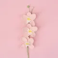 Handmade crochet orchid flower branch in pink yarn with three blossoms and green buds - Pink - Phalaenopsis Orchid Branch