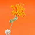 Handmade crochet orange rose flower in white ceramic vase with vibrant knit texture - Crape Myrtle Branch - Orange