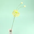 Handmade crochet orchid flower in light green with yellow center in white ceramic vase - Phalaenopsis Orchid Branch - Green
