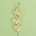 Handmade crochet orchid flower branch in light green with three blooms and buds - Phalaenopsis Orchid Branch - Green