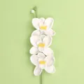 Handmade crochet white flower bouquet with yellow center and green stem for decor - Phalaenopsis Orchid Branch - White