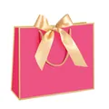 Hot pink paper gift bag with golden bow and twisted rope handles for luxury packaging - Gold Frame Rose Red; Horizontal Extra Small Size 19*15*7 Ribbon Style