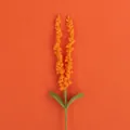 Handmade crochet lavender bouquet in vibrant orange yarn on a matching background - Orange
