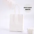 Premium thick white kraft paper gift bag with twisted handles and elegant matte finish - Mini / White