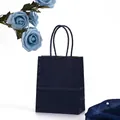 Thick deep blue kraft paper gift bag with matching handles and elegant silk accents - Mini / Navy Blue