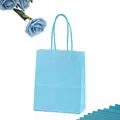 Thick lake blue white kraft paper gift bag with matching twisted rope handles - Lake Blue