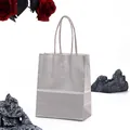 Elegant metallic silver white kraft paper gift bag with twisted rope handles for boutique - Metallic Silver
