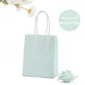Durable macaron blue kraft paper gift bag with twisted handles for shopping - Macaron Blue