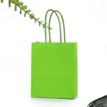 Grass green white kraft paper shopping bag with twisted rope handles for retail use - Grass Green