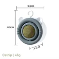Catnip ball wall toy in cat ear design, grey and white plastic, size 5.5x6.9cm - Gray White - Catnip Style