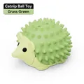Hedgehog catnip ball toy in grass green color for dental cleaning and indoor play - Hedgehog Catnip Ball Toy [Green]