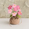 Sfumatura rosa
