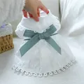 Detailed close-up of a white lace dog dress with a blue striped bow for small pets - S / White (New Hollowed-out Dress)