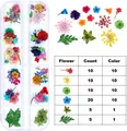 12 color sets of dried flowers for nail art decoration with detailed quantity list - Mixed Dried Flowers And Leaves Style