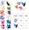 Assorted 12-color 3D dried flowers for nail art stored in a clear organizer box - Mixed Color Gypsophila And Leaves Style