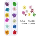 Set of 12 colors real dried flowers for 3D nail art in clear compartment case - Large Dried Flower Style