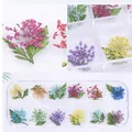 Premium 12-color 3D dried flowers set for nail art in a 12-grid clear storage box - Large Dried Flower And Leaves Style