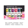 Set of 12 water-soluble aromatic essential oils 3ml each for indoor fragrance use - New Black and Pink Gift Box Essential Oil Set