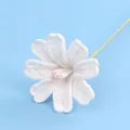 Elegant handmade white crochet simulation flower with a delicate pink floral center - Lewisia Branch (Meng Si) / White