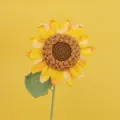 Delicate handmade crochet sunflower featuring vibrant yellow petals and a green stem SKU - Duan Ranhuang-14 Petals Single-layered Seeded Sunflower Branch