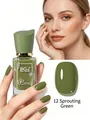Professional BG306 quick dry nail polish in 12 sprout green shade, 14ml glass bottle - 12 Sprout Green