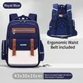 Ergonomic royal blue school backpack for children grades 3-6 size 43x30x16cm - L / Blue