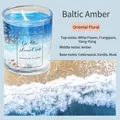 Blue Baltic Amber gel wax candle with shells in glass jar for home fragrance - 100 g / Baltic Amber