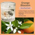 Orange Blossom scented jelly candle in glass cup with citrus and jasmine fragrance notes - 100 g / Orange Floral