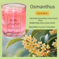 Pink jelly aroma candle with osmanthus scent in a glass jar for home fragrance - 100 g / Fragrans
