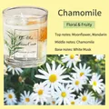 Chamomile scented jelly candle with dried flowers and citrus in a glass jar - 100 g / Chamomile