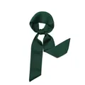 Elegant dark green 2m solid color satin ribbon scarf for hair bag or neck decoration - 100*5cm / Green