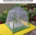 Macro detail of the portable green foldable mesh insect and butterfly observation habitat cage - House Shape Style / House Shape 32x7x5cm / Green